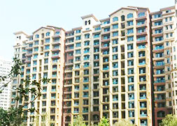 【新鄭】港區(qū)用真石漆哪里去？超前涂料您的首選品牌